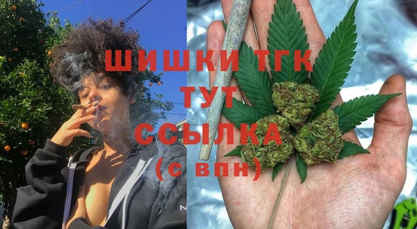 дурь Белокуриха