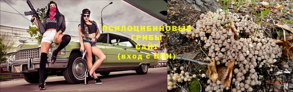 дурь Белокуриха